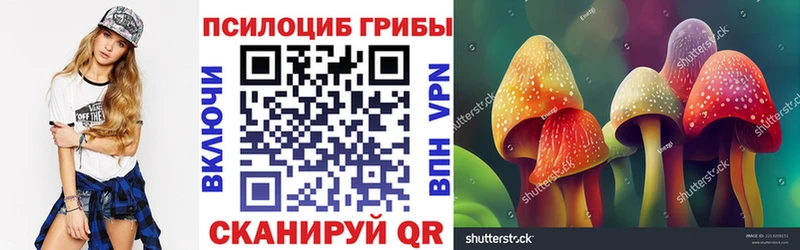 Псилоцибиновые грибы мухоморы  Приморско-Ахтарск 